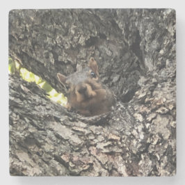 EekhoorntjesDrink Onderzetter