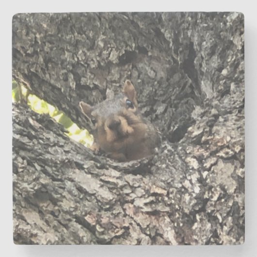 EekhoorntjesDrink Onderzetter (Voorkant)