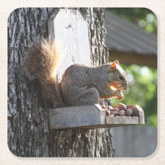 EekhoorntjesDrink Onderzetter (Voorkant)