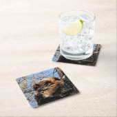 EekhoorntjesDrink Onderzetter (Insitu)