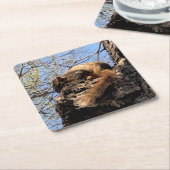 EekhoorntjesDrink Onderzetter (Schuin)