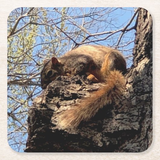 EekhoorntjesDrink Onderzetter (Voorkant)