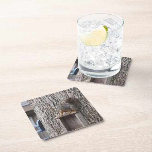 EekhoorntjesDrink Onderzetter (Insitu)