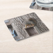 EekhoorntjesDrink Onderzetter (Schuin)