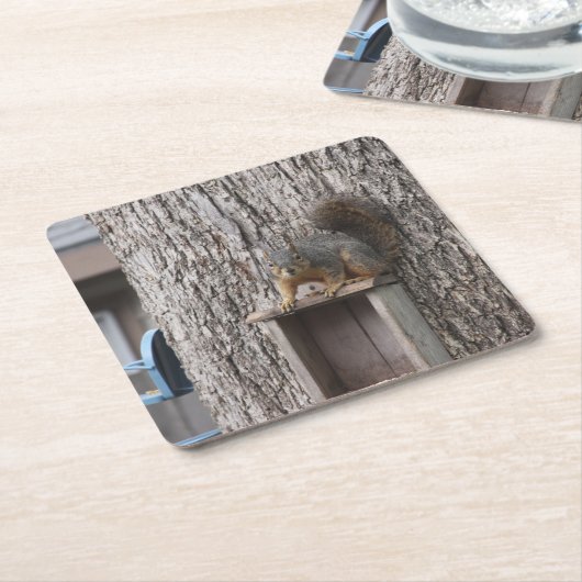 EekhoorntjesDrink Onderzetter (Schuin)