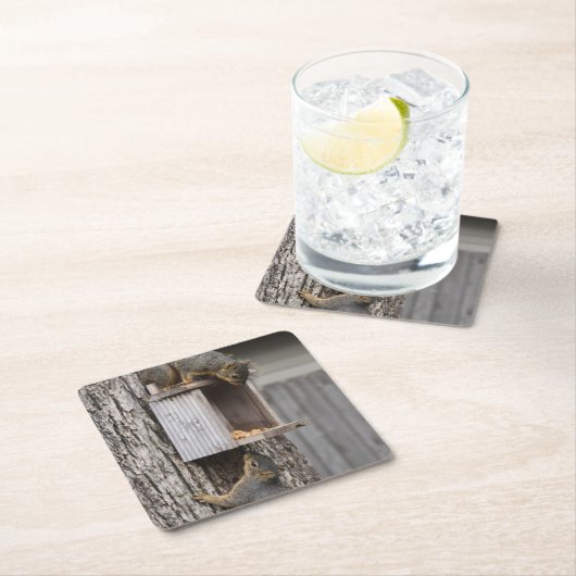 EekhoorntjesDrink Onderzetter (Insitu)