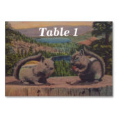 eekhoorntjesgebergte kaart (Voorkant)