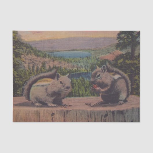  eekhoorntjesgebergte tissuepapier (Voorkant)