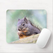 Eekhoorntjespringen voor pinda's muismat (Met muis)