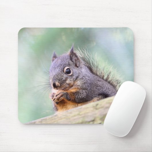 Eekhoorntjespringen voor pinda's muismat (Met muis)