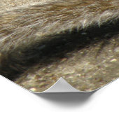 Eekhoorntjesvoertijd Afdrukken Poster (Hoek)