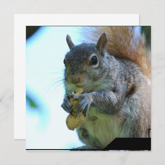 Eekhoornuitvindingen Kaart (Voorkant / Achterkant)