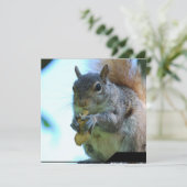 Eekhoornuitvindingen Kaart (Staand voorkant)