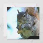 Eekhoornuitvindingen Kaart (Voorkant)