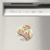 eekhoornvergadering magneet (Insitu (Vaatwasser))