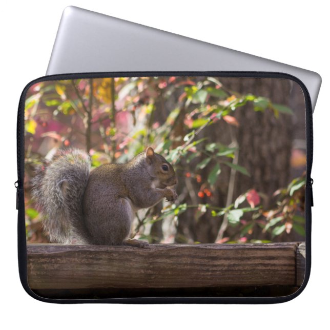Eekhoornvoer Tijd Laptop Sleeve (Voorkant)