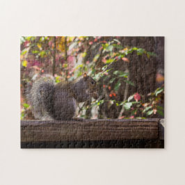 Eekhoornvoer Tijd Legpuzzel