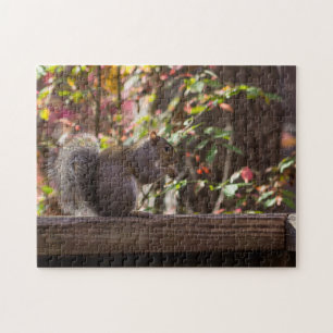 Eekhoornvoer Tijd Legpuzzel