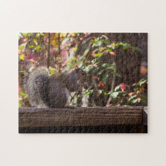Eekhoornvoer Tijd Legpuzzel (Horizontaal)