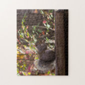Eekhoornvoer Tijd Legpuzzel (Verticaal)