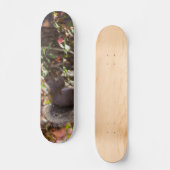 Eekhoornvoer Tijd Persoonlijk Skateboard (Voorkant)
