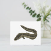 Eel Briefkaart (Staand voorkant)