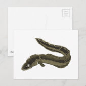 Eel Briefkaart (Voorkant / Achterkant)