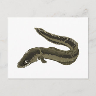 Eel Briefkaart