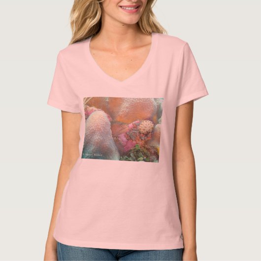 Eel Tshirt (Voorkant)