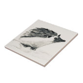 Eelhout — dierlijke tegel tegeltje (Zijkant)