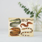 EELS BRIEFKAART (Staand voorkant)