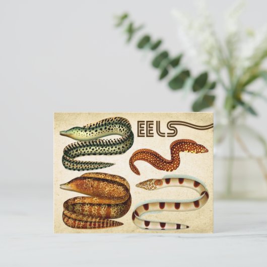 EELS BRIEFKAART (Staand voorkant)