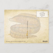 EELS BRIEFKAART (Achterkant)