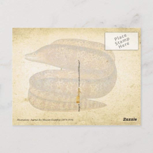 EELS BRIEFKAART (Achterkant)