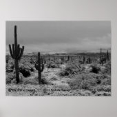 Een 1-afdruksneeuw in de woestijnreeks 2012 poster (Voorkant)