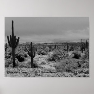 Een 1-afdruksneeuw in de woestijnreeks 2012 poster