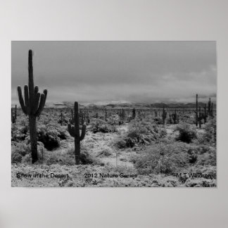 Een 1-afdruksneeuw in de woestijnreeks 2012 poster