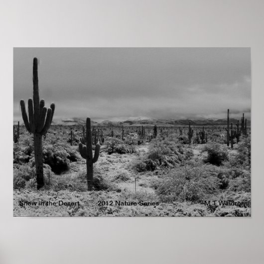 Een 1-afdruksneeuw in de woestijnreeks 2012 poster (Voorkant)