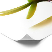 Een 3D Rendered Afbeelding van een Schattigee Bron Poster (Hoek)