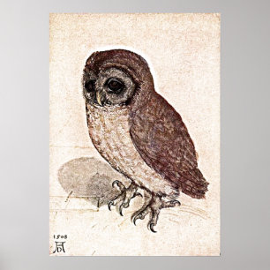 Een 500 jaar oude tekening poster