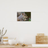 Een A-peling Nut Vrouw Squirrel Poster (Keuken)