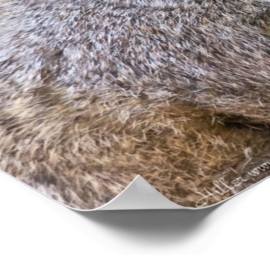 Een A-peling Nut Vrouw Squirrel Poster (Hoek)