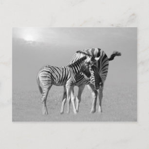 Een aanbestedingsmoment tussen moeder en baby briefkaart