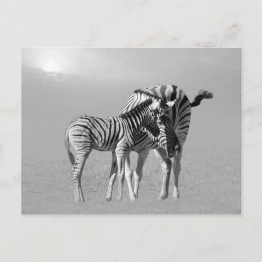 Een aanbestedingsmoment tussen moeder en baby briefkaart (Voorkant)