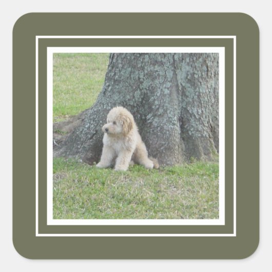 Eén aangepaste fototemplate groen en wit omlijst vierkante sticker (Voorkant)