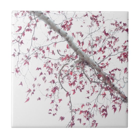 Een aanraking met roze bladeren tegeltje (Voorkant)