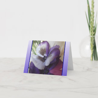 Een aanraking van de Blauwe Kaart van de Nota!