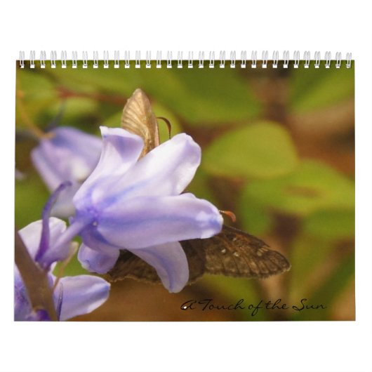 Een aanraking van de Carolinas Kalender (Hoes)