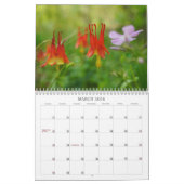 Een aanraking van de Carolinas Kalender (Mar 2026)