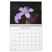 Een aanraking van de Kalender van de Zon (Feb 2027)